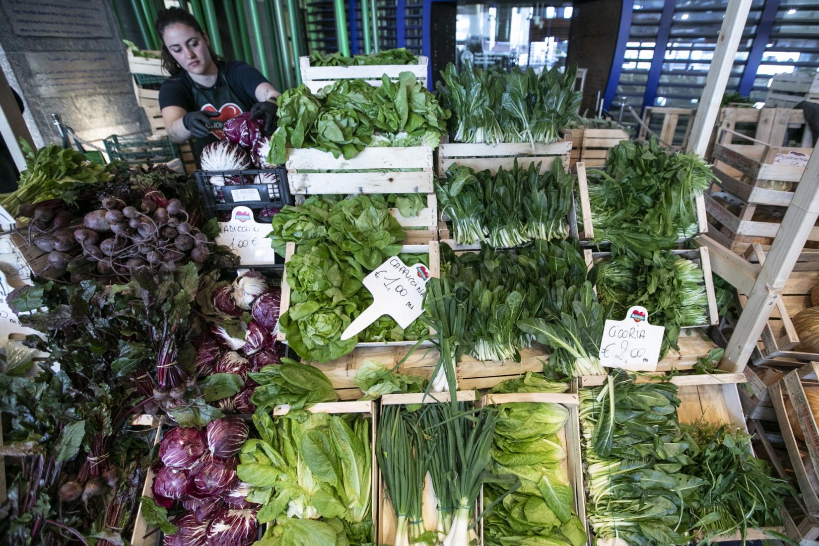 A photo of vegetables for sale at a green market 