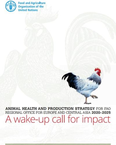 A wake-up call for impact: Animal health and production strategy for FAO  Regional Office for Europe and Central Asia 2020–2025 | United Nations in  North Macedonia